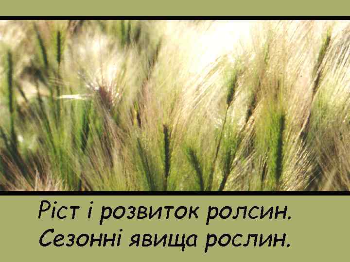 Ріст і розвиток ролсин. Сезонні явища рослин. 