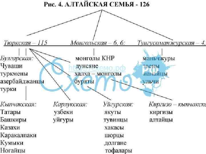 Языковая семья алтайская презентация