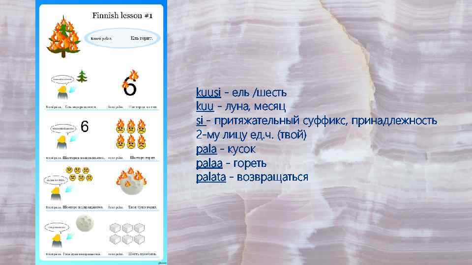 kuusi - ель /шесть kuu - луна, месяц si - притяжательный суффикс, принадлежность 2