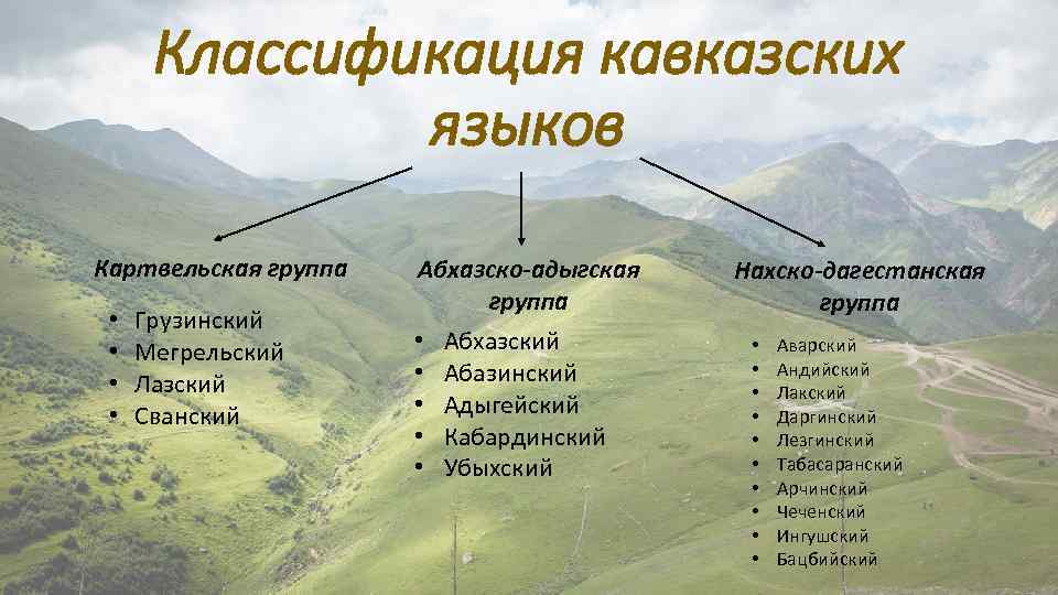 Классификация кавказских языков Картвельская группа • • Грузинский Мегрельский Лазский Сванский Абхазско-адыгская группа •