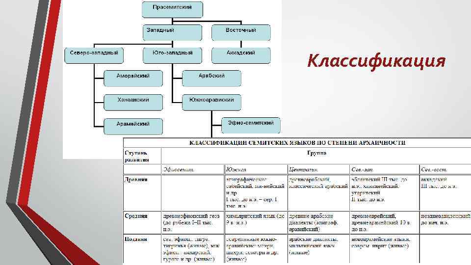 Классификация 