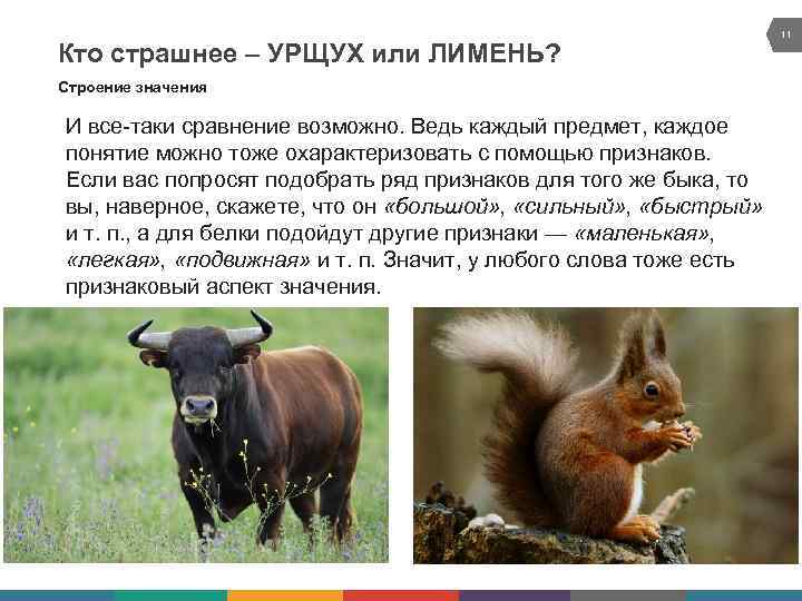 Кто страшнее – УРЩУХ или ЛИМЕНЬ? Строение значения И все-таки сравнение возможно. Ведь каждый