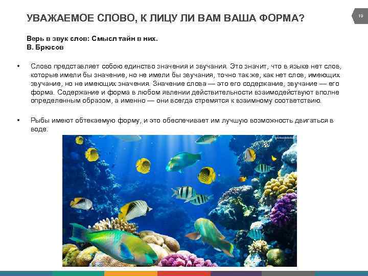 УВАЖАЕМОЕ СЛОВО, К ЛИЦУ ЛИ ВАМ ВАША ФОРМА? Верь в звук слов: Смысл тайн