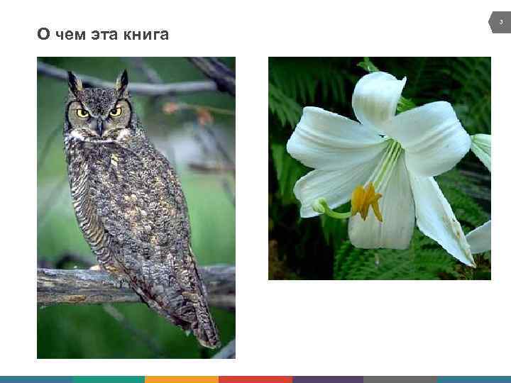 О чем эта книга 3 