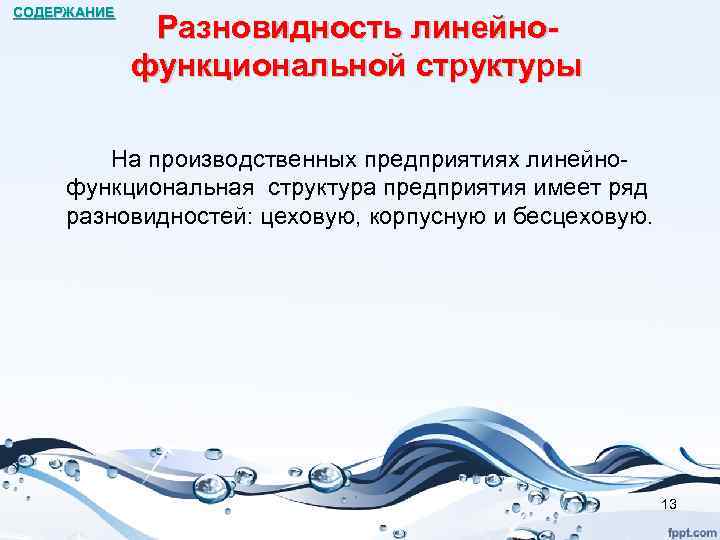 СОДЕРЖАНИЕ Разновидность линейно- функциональной структуры На производственных предприятиях линейнофункциональная структура предприятия имеет ряд разновидностей:
