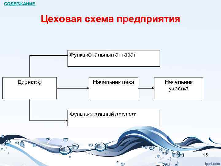 СОДЕРЖАНИЕ Цеховая схема предприятия Функциональный аппарат Директор Начальник цеха Начальник участка Функциональный аппарат 15