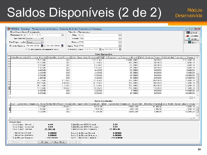Saldos Disponíveis (2 de 2) Módulo Desenvolvido 54 