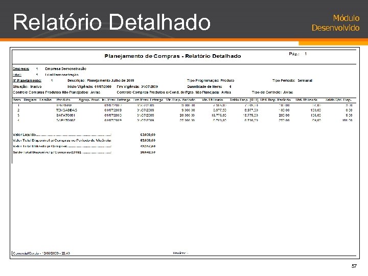 Relatório Detalhado Módulo Desenvolvido 57 