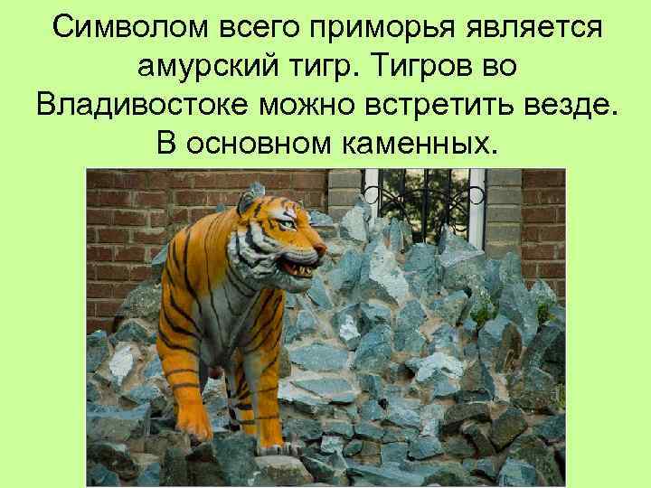 Символом всего приморья является амурский тигр. Тигров во Владивостоке можно встретить везде. В основном