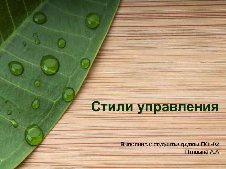 Стили управления Выполнила: студентка группы ПО -02 Птицына А. А 