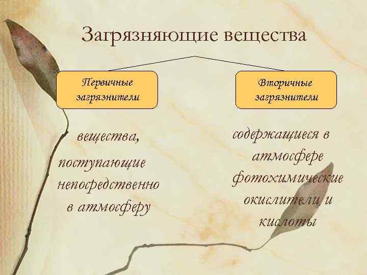 Загрязняющие вещества Первичные загрязнители Вторичные загрязнители вещества, поступающие непосредственно в атмосферу содержащиеся в атмосфере