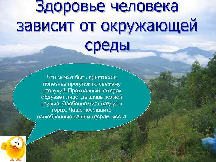 Здоровье человека зависит от окружающей среды Что может быть приятнее и полезнее прогулок по