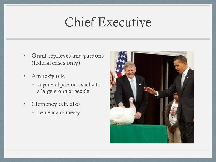 Chief Executive • Grant reprieves and pardons (federal cases only) • Amnesty o. k.