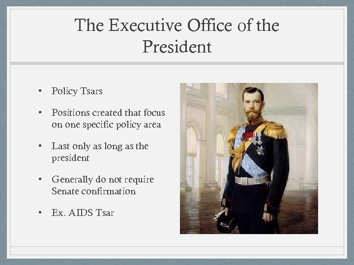 The Executive Office of the President • Policy Tsars • Positions created that focus