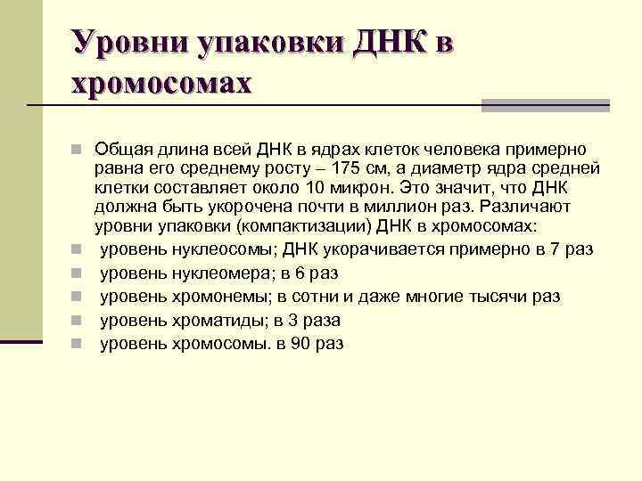 Уровни упаковки ДНК в хромосомах n Общая длина всей ДНК в ядрах клеток человека