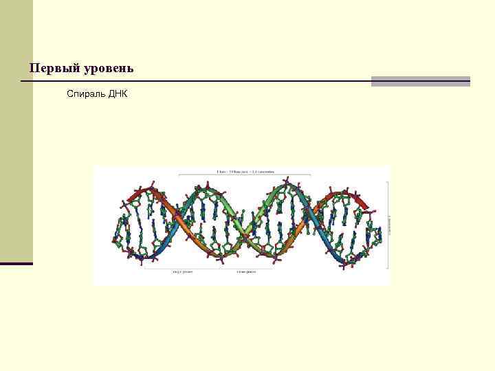 Первый уровень Спираль ДНК 