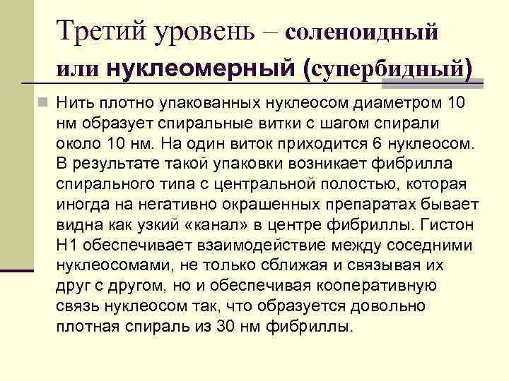 Третий уровень – соленоидный или нуклеомерный (супербидный) n Нить плотно упакованных нуклеосом диаметром 10