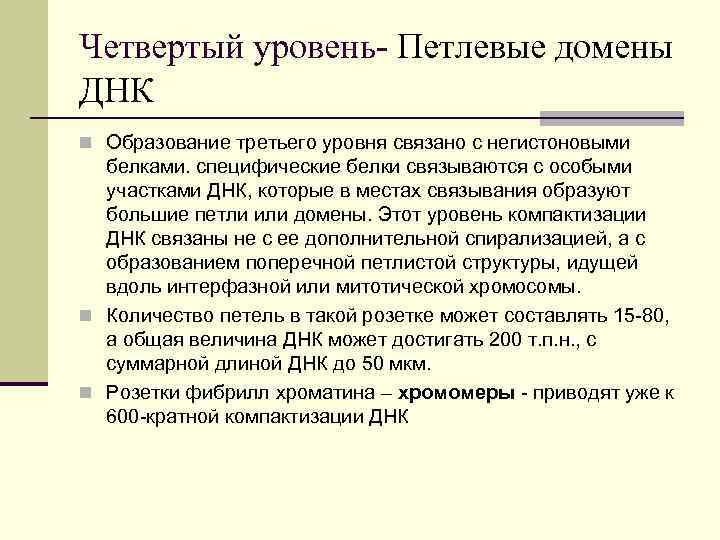 Четвертый уровень- Петлевые домены ДНК n Образование третьего уровня связано с негистоновыми белками. специфические