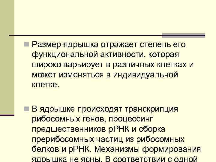 n Размер ядрышка отражает степень его функциональной активности, которая широко варьирует в различных клетках