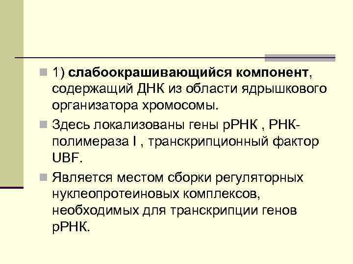 n 1) слабоокрашивающийся компонент, содержащий ДНК из области ядрышкового организатора хромосомы. n Здесь локализованы