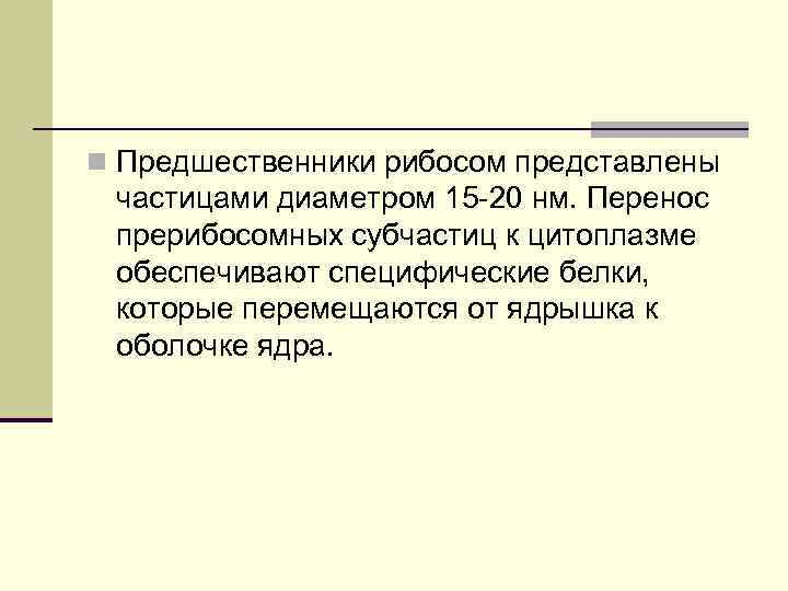 n Предшественники рибосом представлены частицами диаметром 15 -20 нм. Перенос прерибосомных субчастиц к цитоплазме