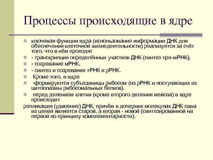 Процессы происходящие в ядре n ключевая функция ядра (использование информации ДНК для обеспечения клеточной