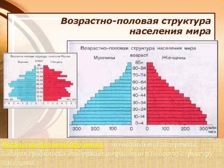 Возрастно-половая структура населения мира Возрастно-половая пирамида – это особый вид диаграммы, которая графически отображает