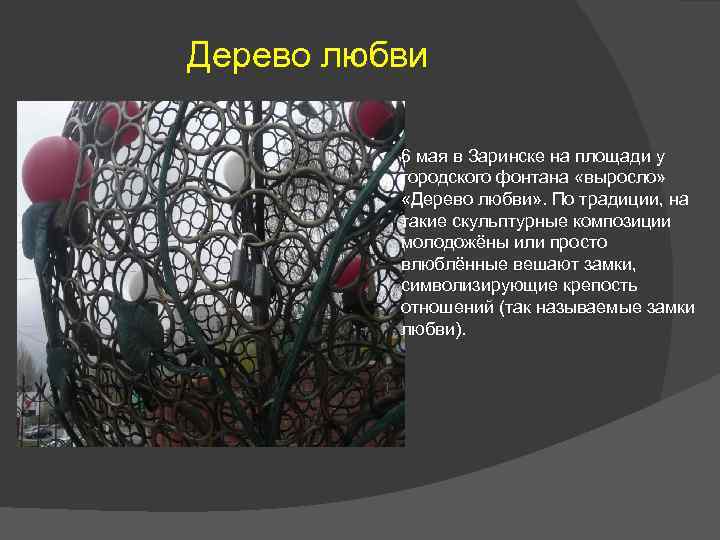 Дерево любви 6 мая в Заринске на площади у городского фонтана «выросло» «Дерево любви»