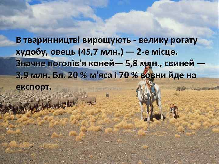 В тваринництві вирощують - велику рогату худобу, овець (45, 7 млн. ) — 2