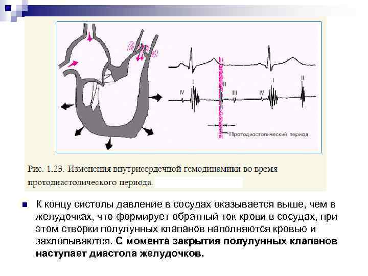 n К концу систолы давление в сосудах оказывается выше, чем в желудочках, что формирует