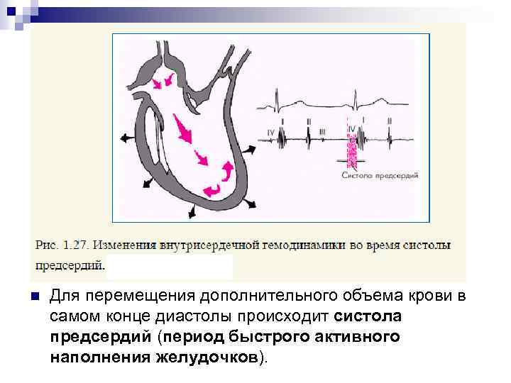 n Для перемещения дополнительного объема крови в самом конце диастолы происходит систола предсердий (период