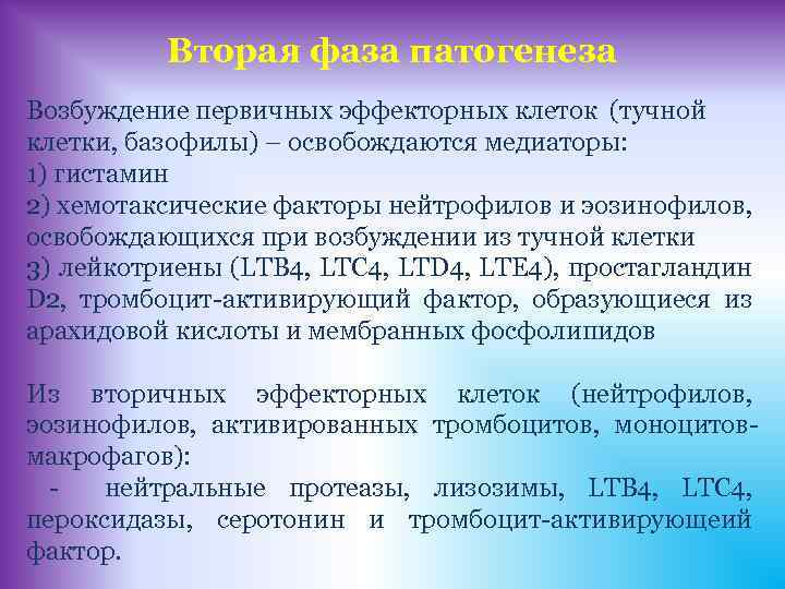 Вторая фаза патогенеза Возбуждение первичных эффекторных клеток (тучной клетки, базофилы) – освобождаются медиаторы: 1)