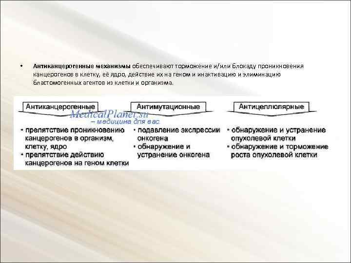  • Антиканцерогенные механизмы обеспечивают торможение и/или блокаду проникновения канцерогенов в клетку, её ядро,