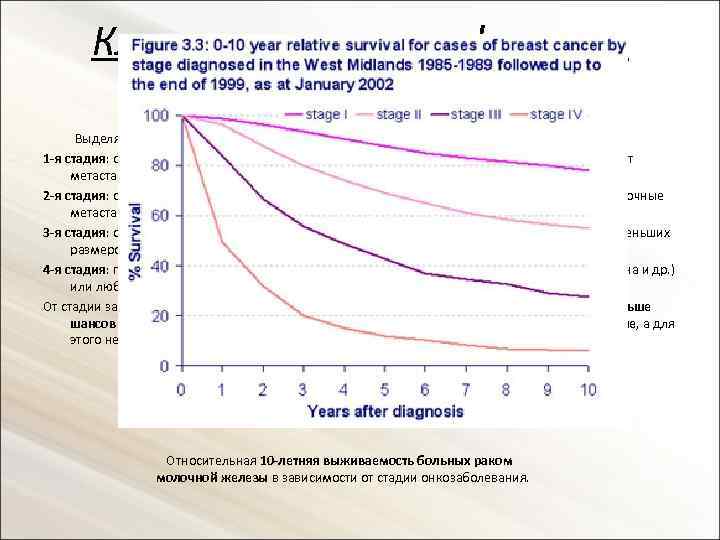 Клиническая классификация опухолей Выделяют 4 стадии онкозаболевания: 1 -я стадия: опухоль небольшая, занимает ограниченный