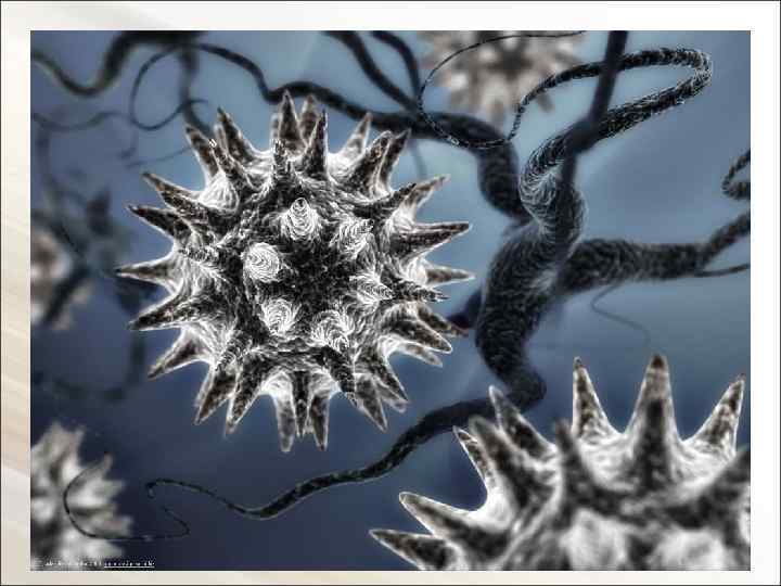 Канцерогенные факторы Химические факторы Вещества ароматической природы (полициклические и гетероциклические ароматические углеводороды, ароматические амины),