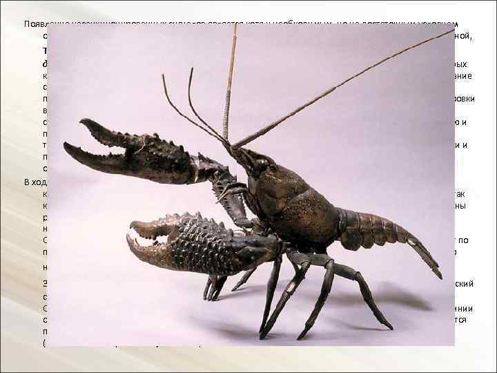 Появление несанкционированных сигналов является хотя и необходимым, но не достаточным условием образования опухоли. Опухолевый