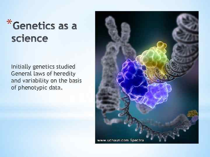* Initially genetics studied General laws of heredity and variability on the basis of