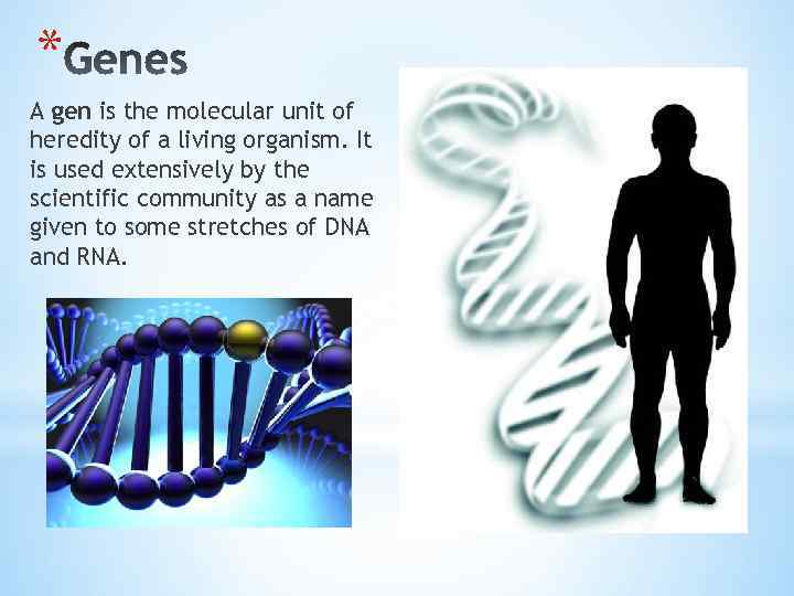 * A gen is the molecular unit of heredity of a living organism. It