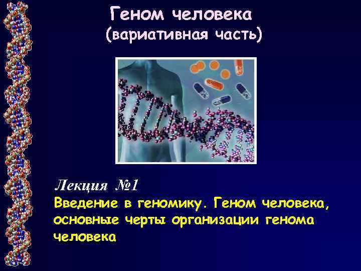 Геном человека (вариативная часть) Лекция № 1 Введение в геномику. Геном человека, основные черты