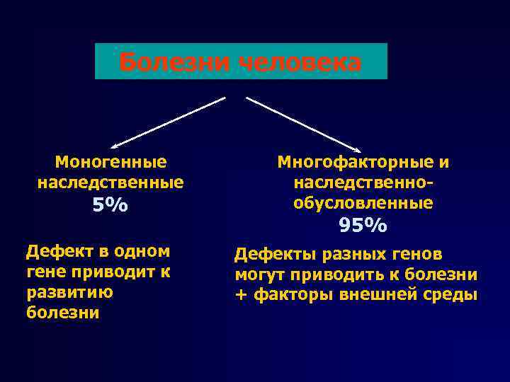 Болезни человека Моногенные наследственные 5% Дефект в одном гене приводит к развитию болезни Многофакторные