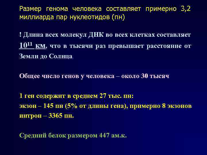 Размер генома человека составляет примерно 3, 2 миллиарда пар нуклеотидов (пн) ! Длина всех