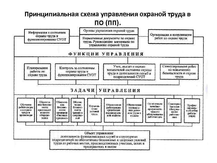 Система управления охраной труда образец