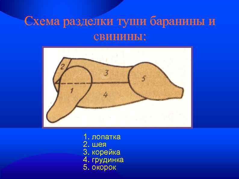 Схема разделки туши баранины и свинины: 1. лопатка 2. шея 3. корейка 4. грудинка