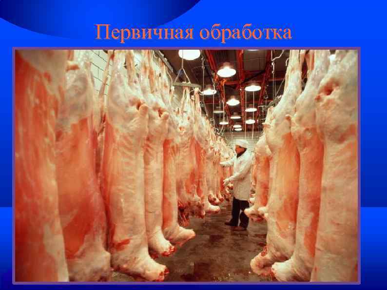 Первичная обработка 