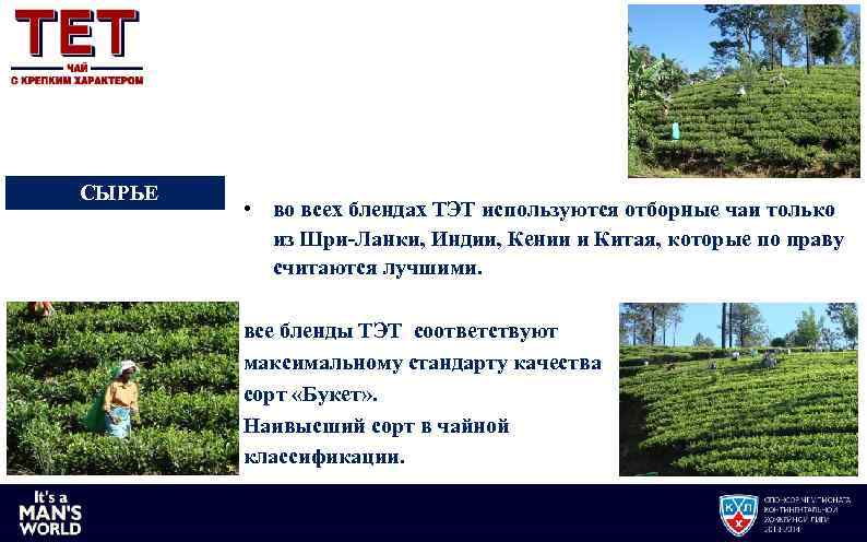 СЫРЬЕ • во всех блендах ТЭТ используются отборные чаи только из Шри-Ланки, Индии, Кении