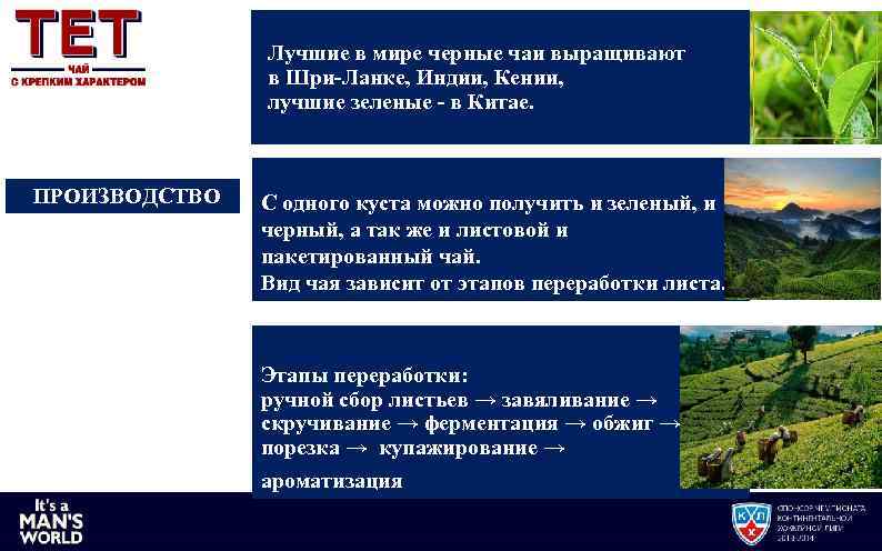 Лучшие в мире черные чаи выращивают в Шри-Ланке, Индии, Кении, лучшие зеленые - в
