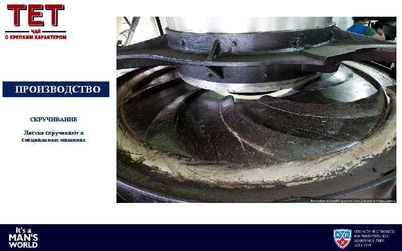 ПРОИЗВОДСТВО СКРУЧИВАНИЕ Листья скручивают в специальных машинах 