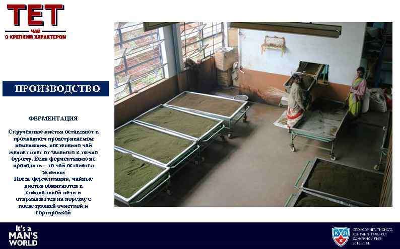 ПРОИЗВОДСТВО ФЕРМЕНТАЦИЯ Скрученные листья оставляют в прохладном проветриваемом помещении, постепенно чай меняет цвет от