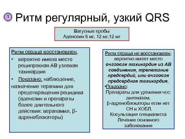 1 Ритм регулярный, узкий QRS Вагусные пробы Аденозин 6 мг, 12 мг Ритм сердца