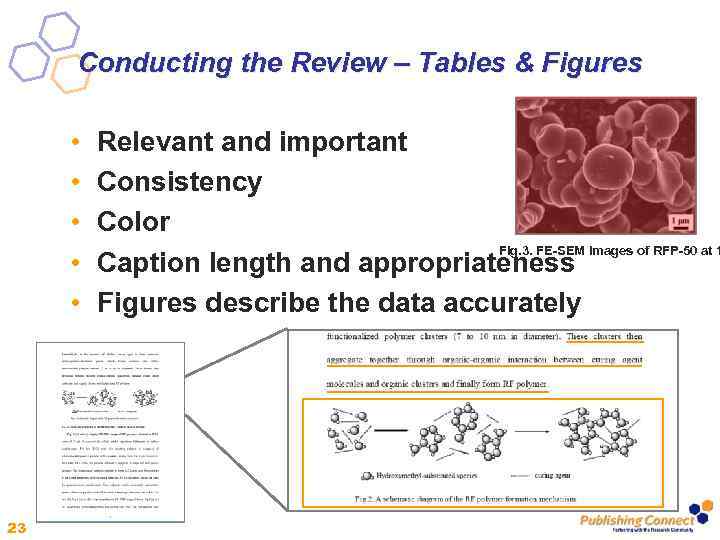 Conducting the Review – Tables & Figures • • • 23 Relevant and important